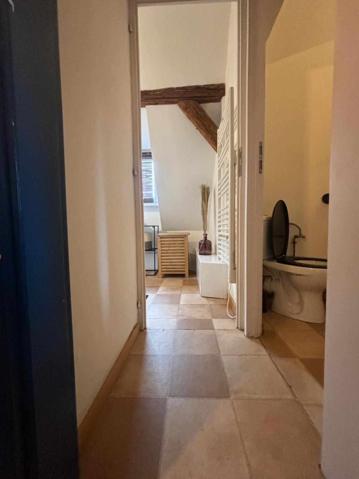 Charmant Appartement Proche Strasbourg A Eckwersheim Exterior foto
