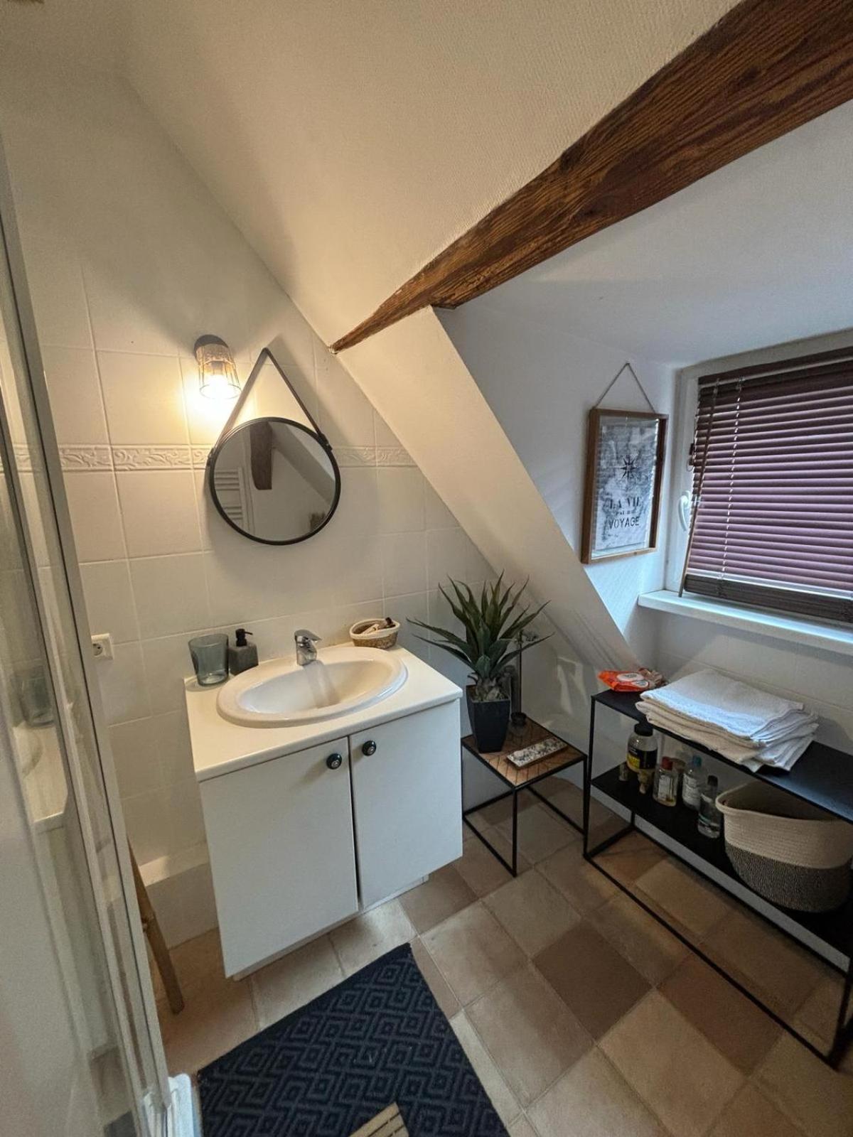 Charmant Appartement Proche Strasbourg A Eckwersheim Exterior foto